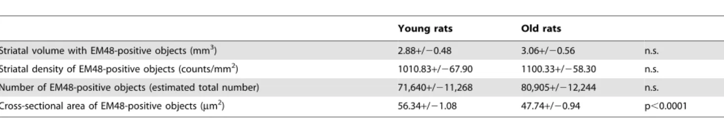 Table 1. Quantitative characteristics of EM48-positive objects in young and old rats.