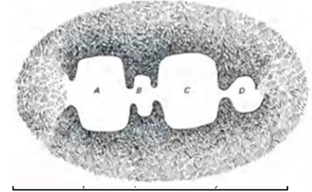 Figure 8:Séquences spatiales   (Cousin, 1980 : 214) 