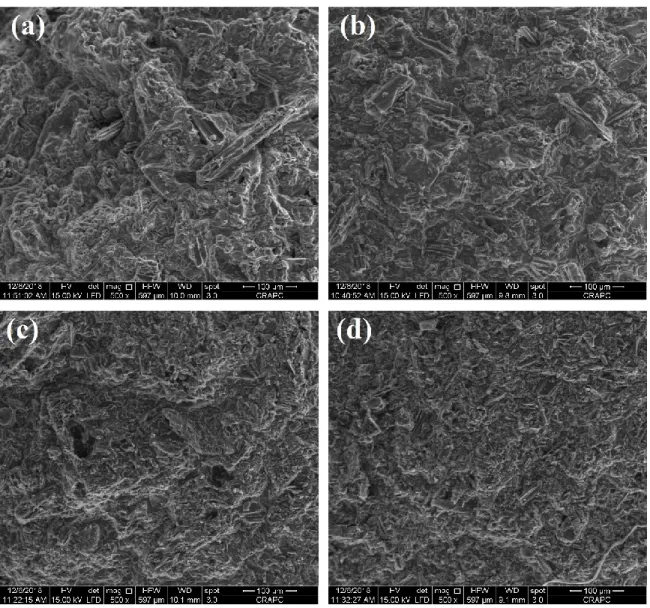 Figure III.3 : Image MEB de l’état de surface de billes composites à différents rapports  ALG/CA