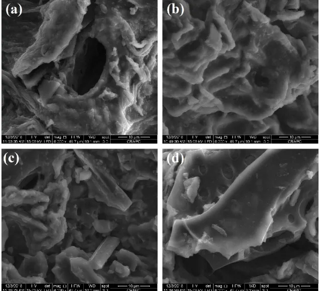 Figure III.4 : Image MEB de distribution des cristaux de Calcium sur la surface des  billes composites à différents rapports ALG/CA
