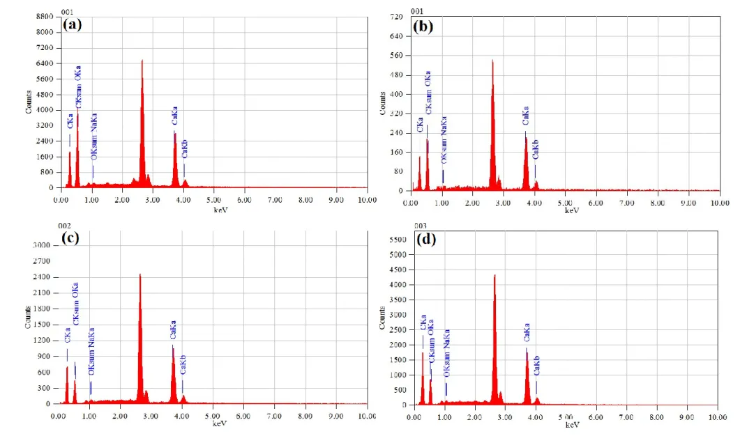 Figure III.6 : Analyses EDS des billes composites à différents rapports ALG/CA. (a) ALG/CA (1/1)
