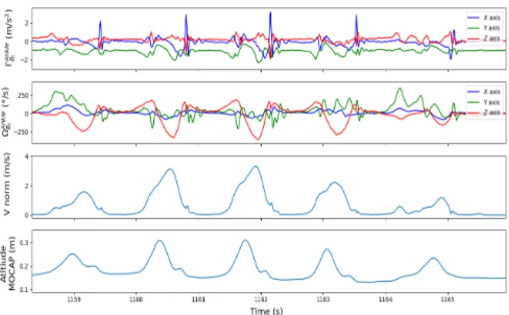 Fig. 3: Pseudo-speed norm during walking.