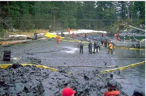 Figure 25. Nettoyage manuel de la plage après le déversement de l’Exxon Valdez [29]. 