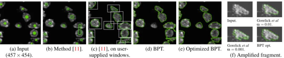 Figure 3: Multiple convex objects (cell nuclei). Gorelick et al. [11] and BPT optimization.