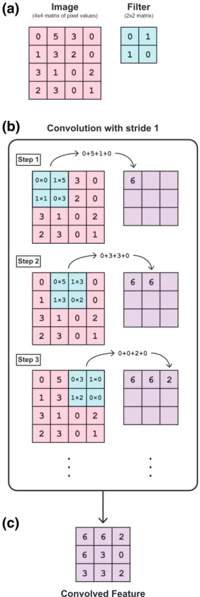 Figure 1. Example of how convolution is performed in a convolutional neural network. (a) An image can be represented as a matrix of pixel (px) values