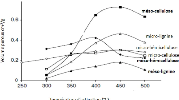 Figure V.10. Type de porosité des biopolymeres  activé par l’acide phosphorique [127] 