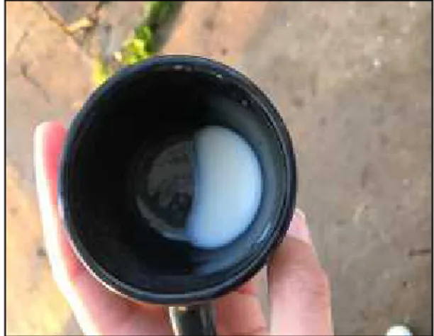 Figure N°2 : Vérification de l’aspect du lait dans un bol a fond noir