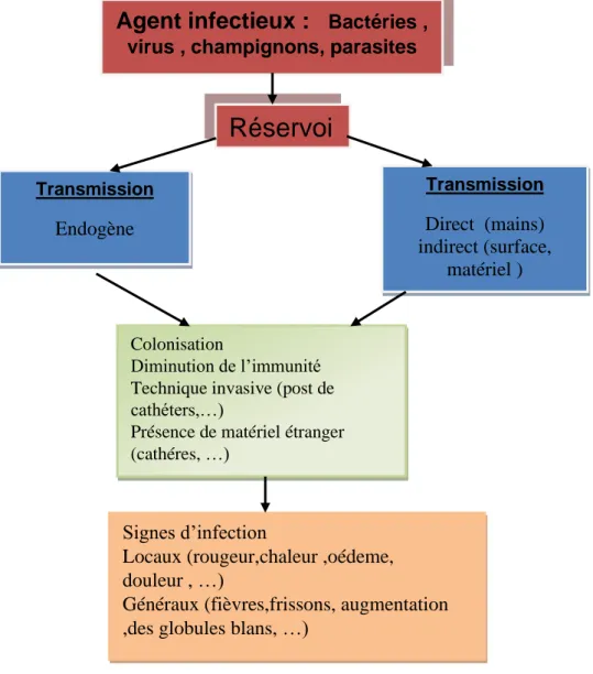 Figure 03:Pathogene de l'infection hospitaliere.(herve et al.,1998)  I.1.5.1.  Voie endogène : 