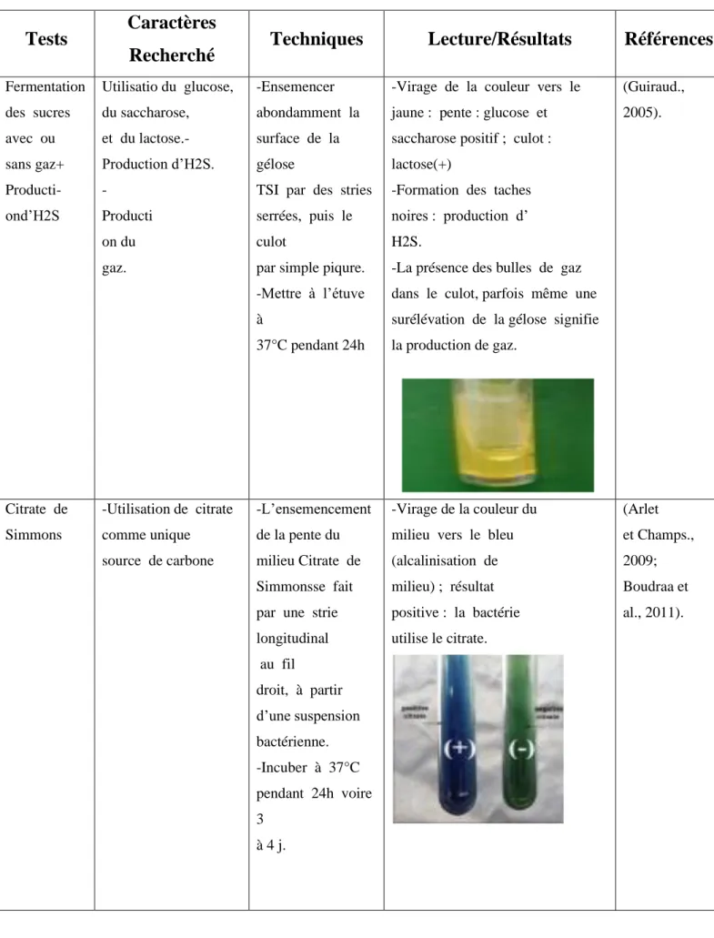 Tableau 11 :  Tests biochimiques utilisés pour l’identification d’Escherichia coli 