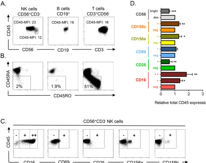 Fig 1. CD45 expression correlates with markers of NK cell maturation. A) After purification, PBMCs from healthy donors were stained for FACS analysis with anti-CD19 (B cells, CD19 + ), -CD3 (T cells, CD3 + CD56 - ) and -CD56 (NK cells, CD56 + CD3 - ), to i