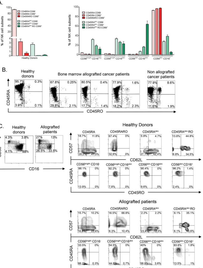 Fig 2. NK cell subsets in cancer patients allografted with HSC. A) After purification, PBMCs from healthy donors were stained as in Fig 1 and also with anti-CD16, to identify NK cell subsets at different stage of maturation, and with -CD45RA, -CD45RO and -