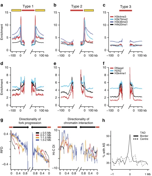 Figure 7 | Chromatin structure impact on replication landscape. (a-f) Densities of signal enrichment of indicated histone marks or DNaseI HSSs around HeLa Type 1 (a,d), Type 2 (b,e) and Type 3 (c,f) AS; yellow boxes, active genes ﬂanking AS (red lines)