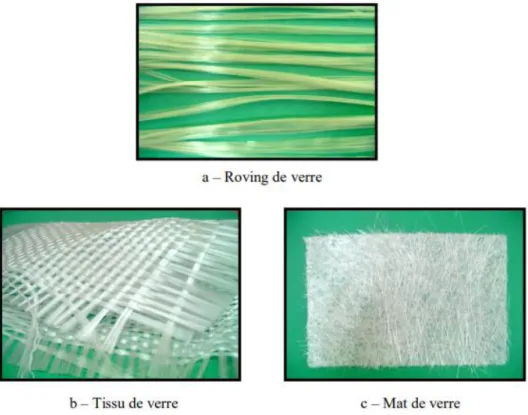 Figure I.5 : Différents types de fibres de verre [18] 