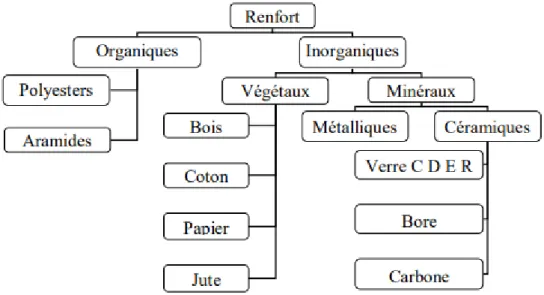 Figure I.6 : Différentes familles du renfort.[19] 