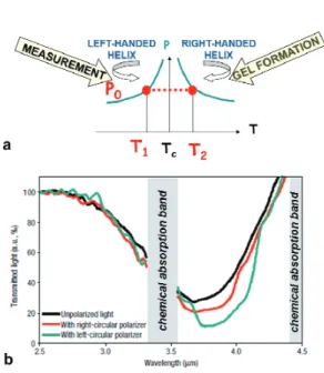 FIGURE 4.  (a) Fabrication procedure of a cholesteric gel which exhibits both helicity senses