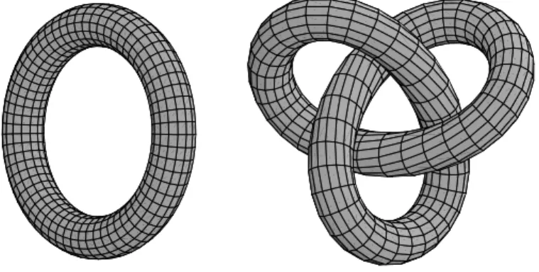 Fig. 1.2. Two homeomorphic surfaces which are not isotopic