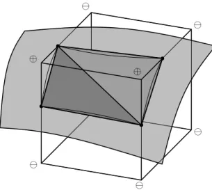 Fig. 1.4. A cube intersected by the surface f(x, y, z) = 0. The sign of f at the vertices is shown