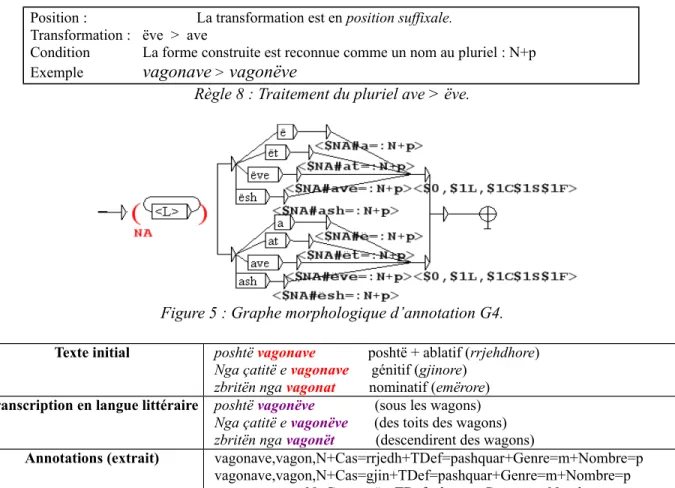 Figure 5 : Graphe morphologique d’annotation G4.