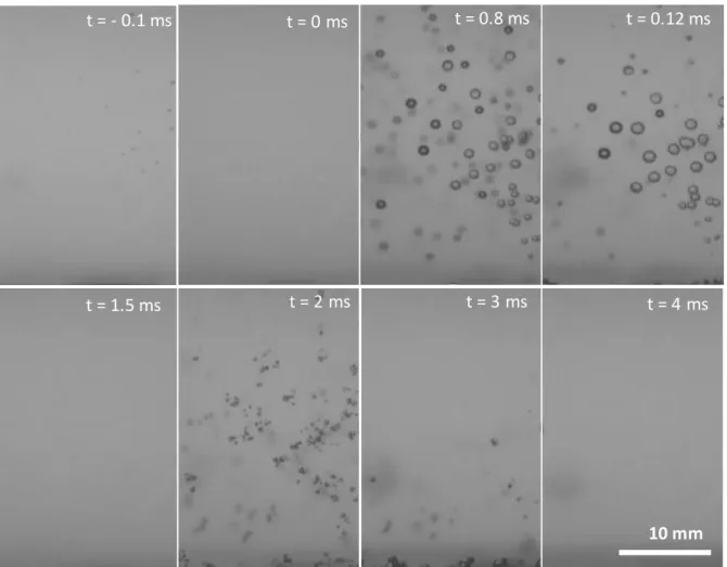 Fig. 4. Typical pictures of obtained bubbles after an impact at 12mm, 20mbar, under air