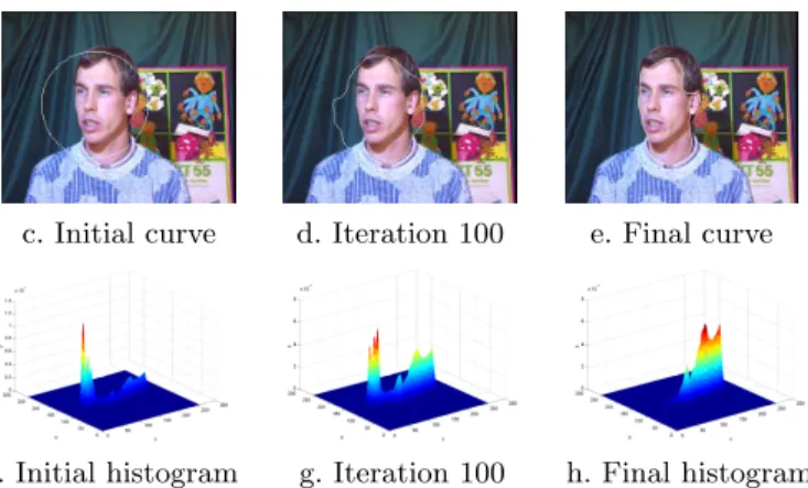 FIGURE 2. Evolution of segmentation and the associated object histogram (his- (his-togram of the two components color of the region inside the curve) with the minimization of the joint entropy