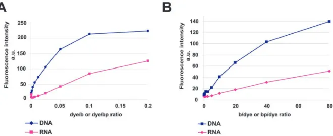 Figure 2. BENA435 binds preferentially to dsDNA rather than to RNA. (A) Fluorescence emission values of different amounts of BENA435 mixed with 50 mM dsDNA or RNA