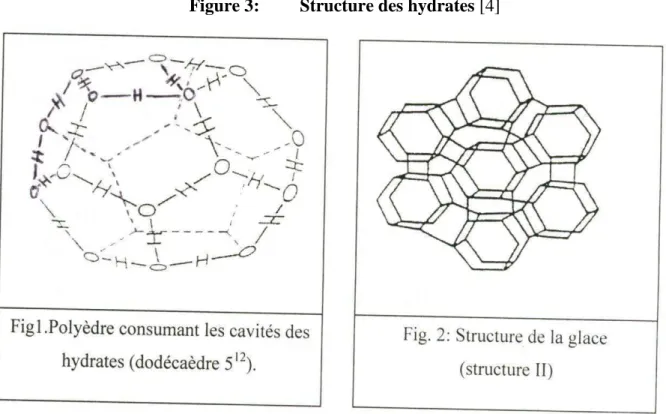 Figure 3:         Structure des hydrates [4] 
