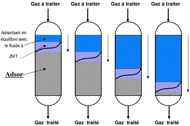 Figure 7 :  Evolution de la zone de transfert de matière au cours du temps[11]