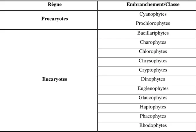 Tableau 1 : Diversité des microalgues eucaryotes et procaryotes, marines et d’eau  douce (Sialve &amp; Steyer, 2013)