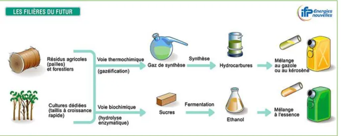 Figure 3. Biodiesel de deuxième génération 