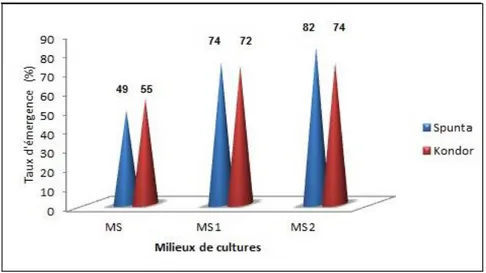 Figure  8 :  Taux  de  reprise  des  bourgeons  caulinaires  des  variétés  Spunta  et  Kondor  en  fonction des milieux de culture testés