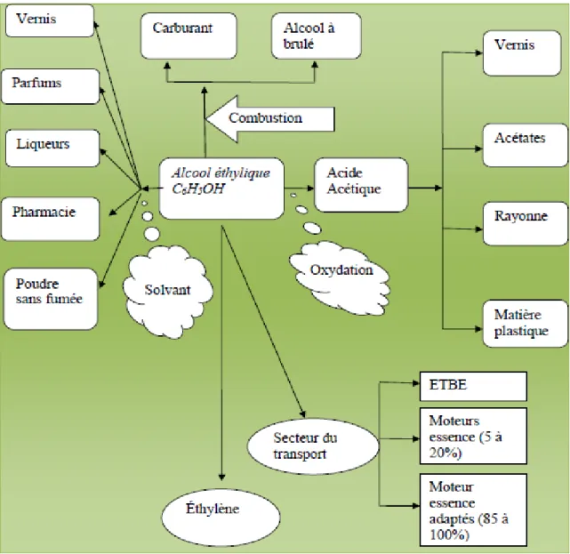 Figure I.6: Domaines d’utilisation du bioéthanol [15,16] 