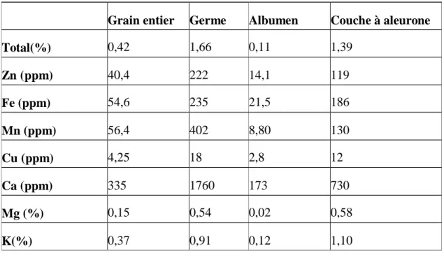 Tableau 4 : Eléments minéraux du grain de blé (Matz, 1991) 