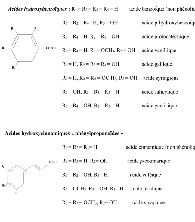 Figure 2: Les principaux acides phénoliques (Ribereau -Gayon, 1968). 