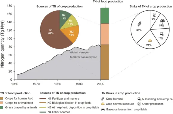Figure 1.  Total nitrogen input (TN) of food production . Left: Sources of reactive N involved in food  production (animal and plant products)