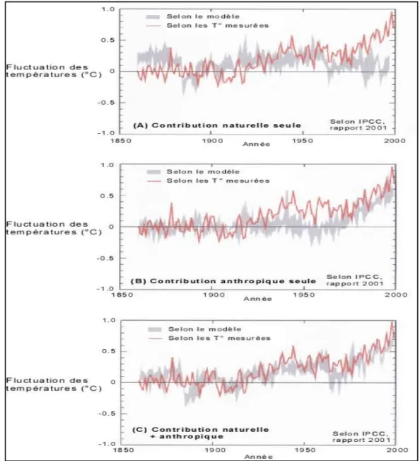 Figure III.7.  Influence de la contribution humaine sur l’élévation de la température