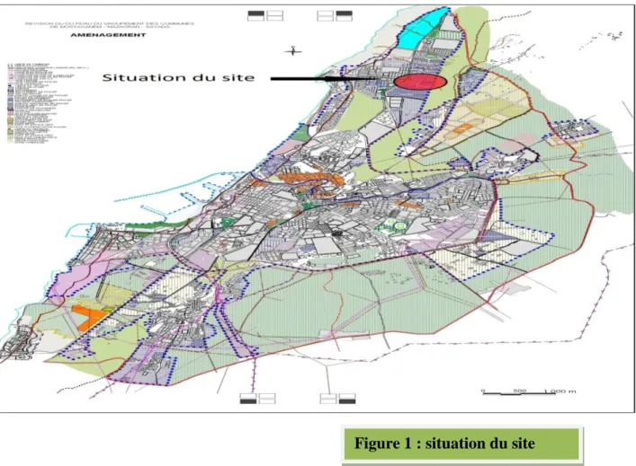 Figure 1 : situation du site  