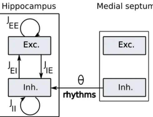 Figure 1: Entrainment of theta activity in hippocampus by rhythmic inhibition of in- in-hibitory interneurons.