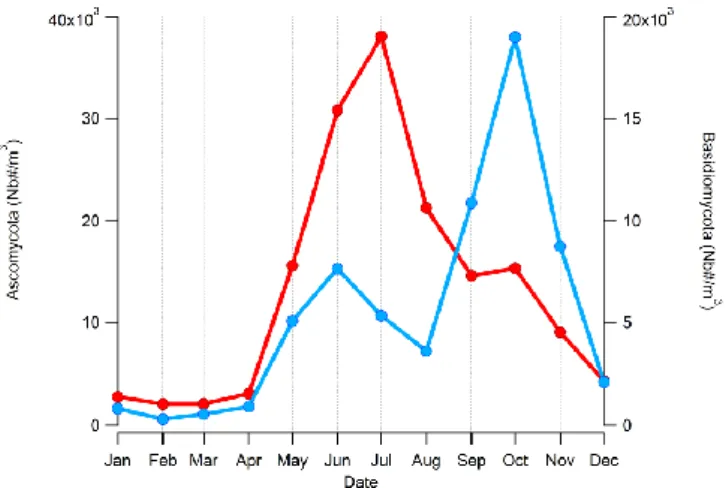 Figure 12. Seasonality of the AMC (red curve) and Basidiomycota (BMC) (blue curve) in mean  concentrations