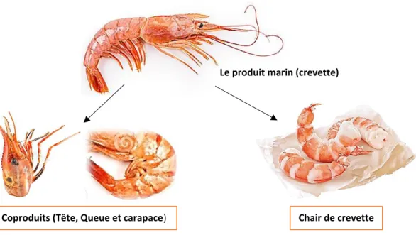 Figure 2. Quelques coproduits (Déchets) issus de la transformation de crevette.   