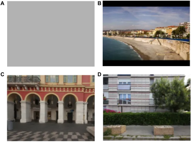 Figure 1 Four visual conditions used during the experiment and presented to participants in the following order