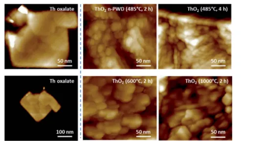 Fig. 3 AFM images emphasizing the nanoscale architecture of ThO 2 samples, which is lost on increasing the ﬁ ring temperature