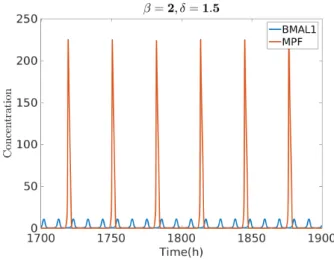 Fig. 7. Oscillation of clock and cell cycle for β = 2, δ = 1.5, with GF = 10 and c b = 10.