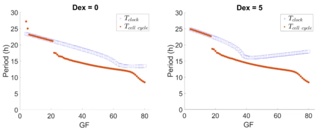 Fig. 9. Change in oscillators’ period with GF for c b = 10, with and without Dex.