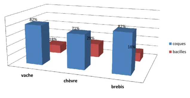 Figure 13 : Taux de coques et de bacilles de laits de différentes espèces animales. 