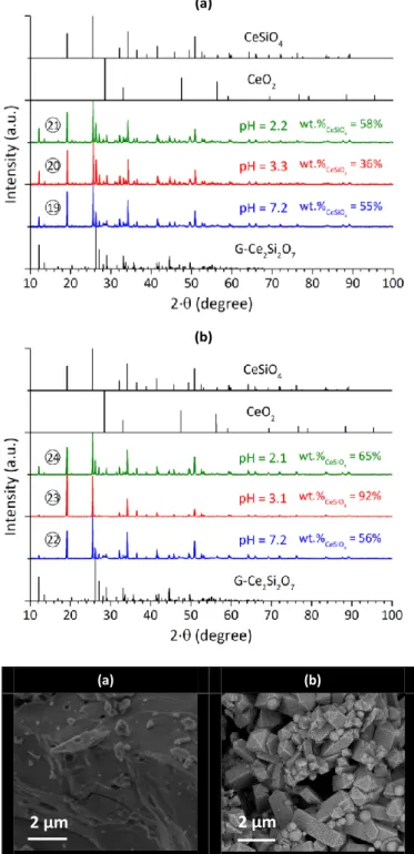 Figure  6.  SEM  micrograph  obtained for A-Ce 2 Si 2 O 7   (T  =  1350°C for  9  hours, Ar  –  4%  H 2 )  (a)  and  for  CeSiO 4   obtained  after  hydrothermal  conditions  (T = 150°C,  t = 7 days) under air atmosphere from A-Ce 2 Si 2 O 7 , in nitric me