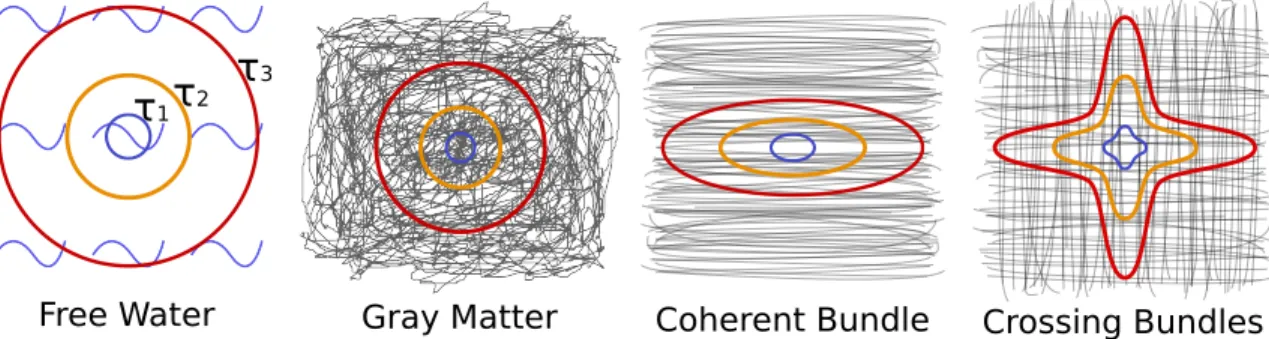 Figure 2: Schematic representations of different tissue types with their corresponding P (R, τ ) isocontours for different diffusion times τ 1 < τ 2 < τ 3 