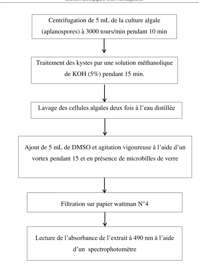 Figure  10:  Extraction  et  dosage  de  l ’ astaxanthine  produite  par  H.  pluvialis  dans  des  conditions de stress (Wan et al., 2014)