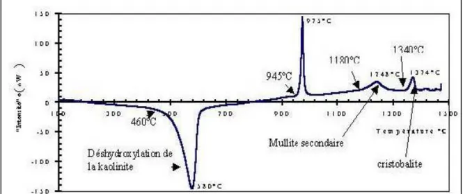 Figure II.13 : Exemple d‘analyse thermique différentielle d‘un kaolin [Soro, 2003] .           L‘ATD identifie les régions de la température et l'importance des événements  critiques  pendant  un  séchage,  mais  en  plus  l'oxydation  de  carbone  ou  de 