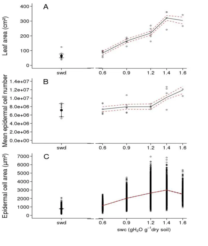Fig. 8. Soil water content (swc) dose response of leaf size-related traits in Wva106 plants grown at five different soil water contents: 0.6, 0.9, 1.2, 1.4 and 1.6 g H 2 O g -1  dry soil and a severe soil water deficit (swd) for which soil water content wa