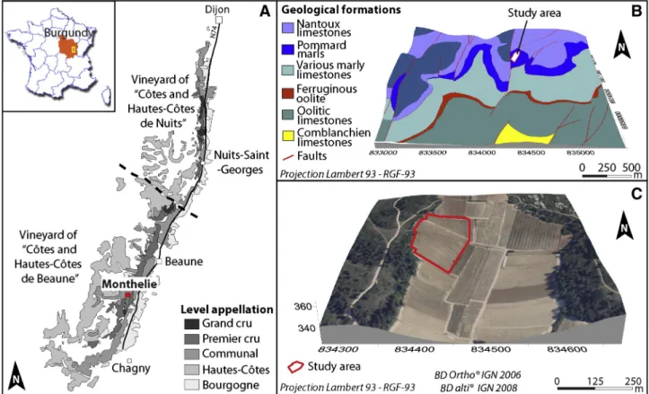 Fig. 1. Location map (A) and geological map (B) of the study area. Ortho-photograph overlain on the 25-m DEM (IGN, 2006) highlighting the study area (C).